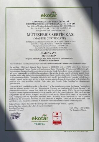 Organik Sertifikalı Süzme Polifloralı Çiçek Balı Ham Bal Apimondia Ödüllü Yayla Balı 850 g