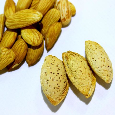 Elle Kırılan Çiğ Kabuklu Badem (El Bademi) 500g.
