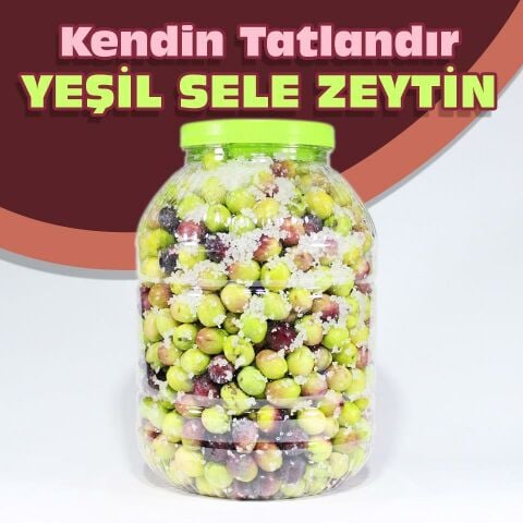 Kendin Tatlandır Ham Mut Yeşil Sele Zeytini Yeşil Çevirme Zeytin 3 kg 2 Numara (Tuzu Ayarlı)